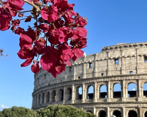 The Best Views of the Colosseum in Rome: 12 Jaw-Dropping Panoramas